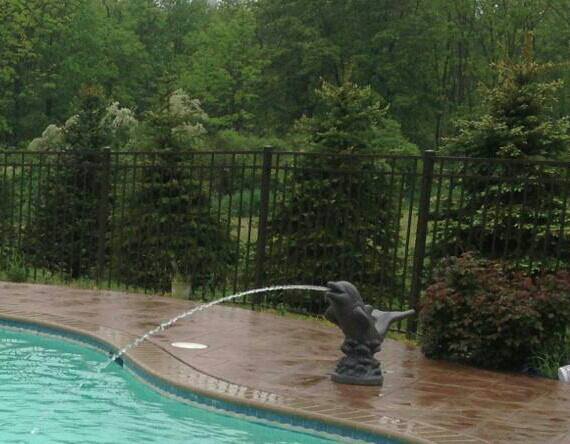 Decorative dolphin statue accent beside a custom pool built by Ahner Pools